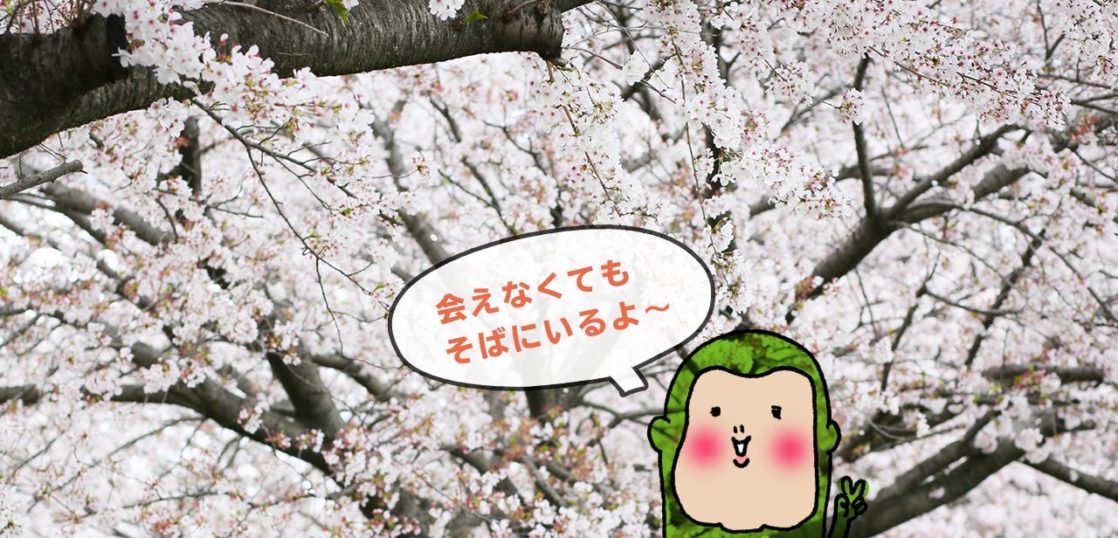 オンライン会議でもストレスを軽減 Zoom背景画像をコラボ制作しました ココロの出前保健室 Hidamari Station オンライン会議でもストレスを軽減 Zoom背景画像をコラボ制作しました ココロの出前保健室 Hidamari Station